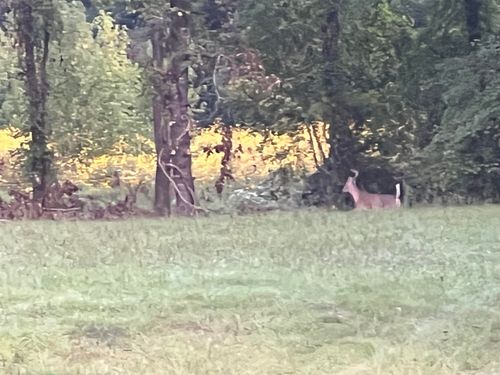 2344 Ed Haymes Rd, Austin, AR, 72007-9405 | Card Image