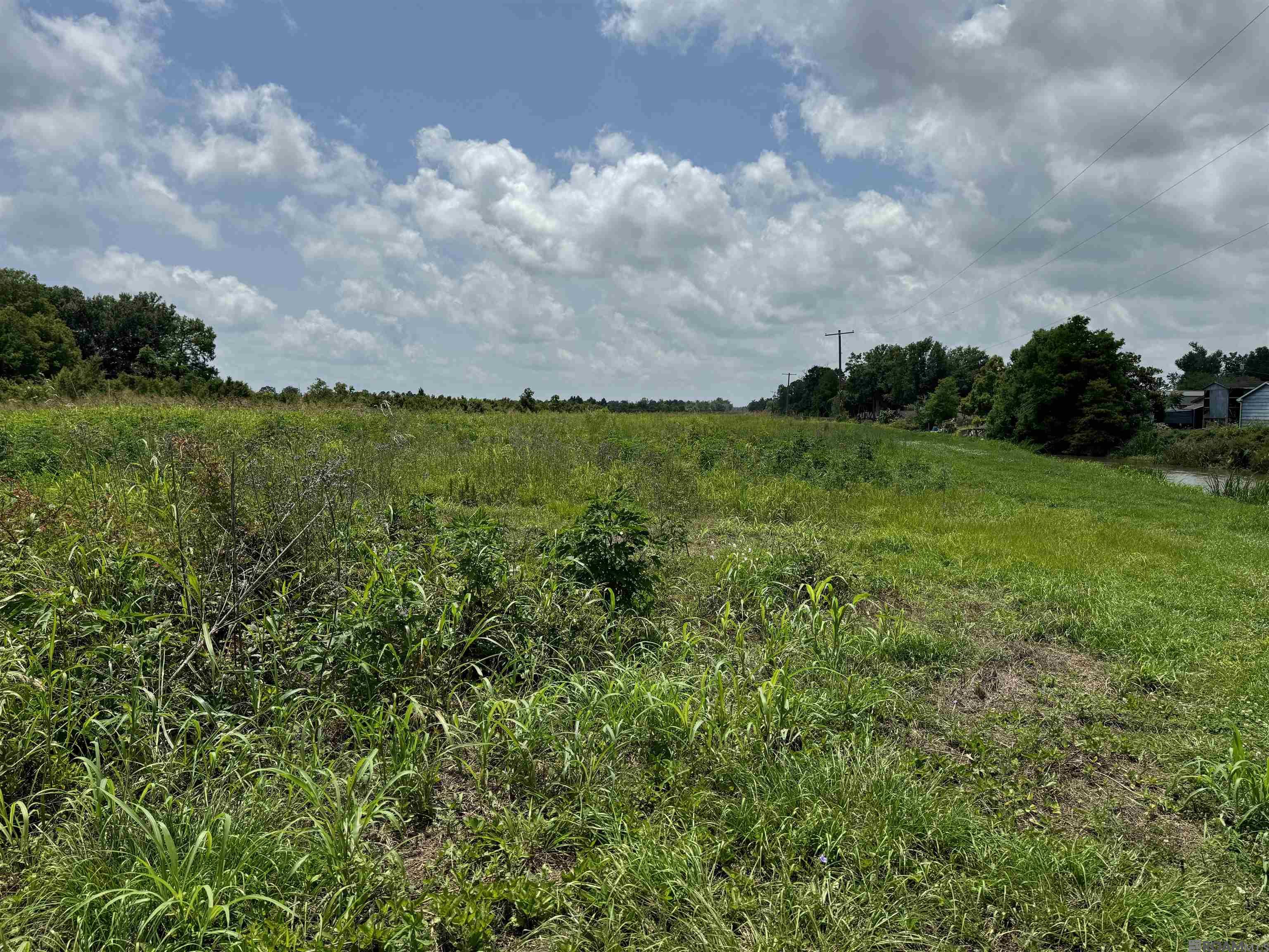 Land in Raceland 5