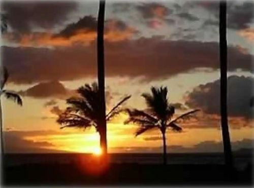 117-1310 Uluniu Rd, Kihei, HI, 96753-8254 | Card Image