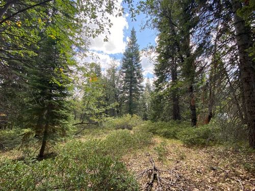1-A-17 Mt Shasta Dr, Mccloud, CA, 96057 | Card Image