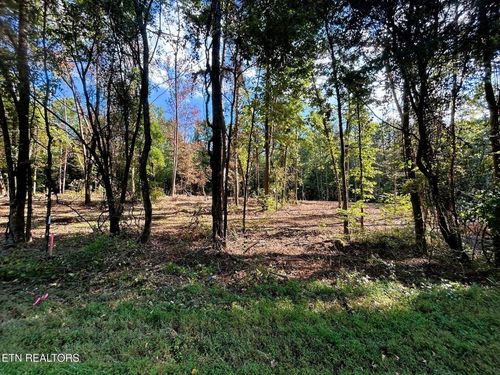 55 Pleasant Hill Rd, Ten Mile, TN, 37880 | Card Image