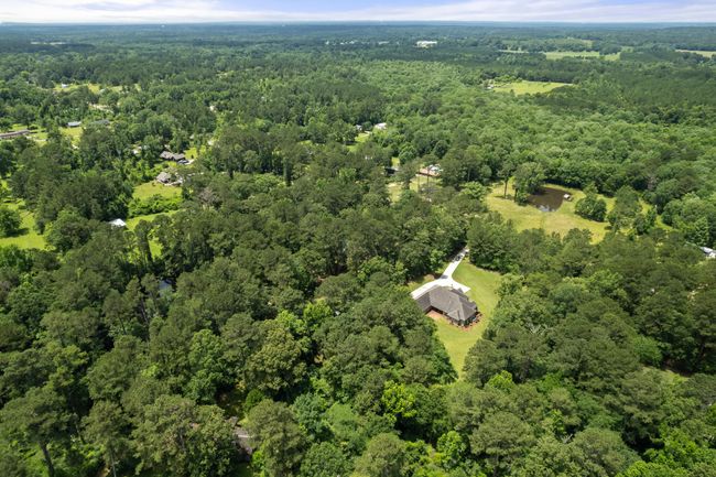 338_Reedy_Creek_Rd-62 | Image 62