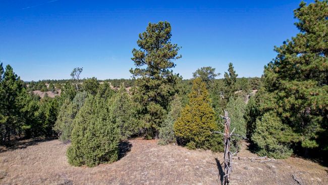 Lot 4 Sunset Ridge Road, Home with 0 bedrooms, 0 bathrooms and null parking in Newcastle WY | Image 15