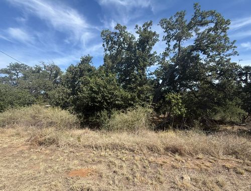 TBD Cree Trl, Kingsland, TX, 78639 | Card Image