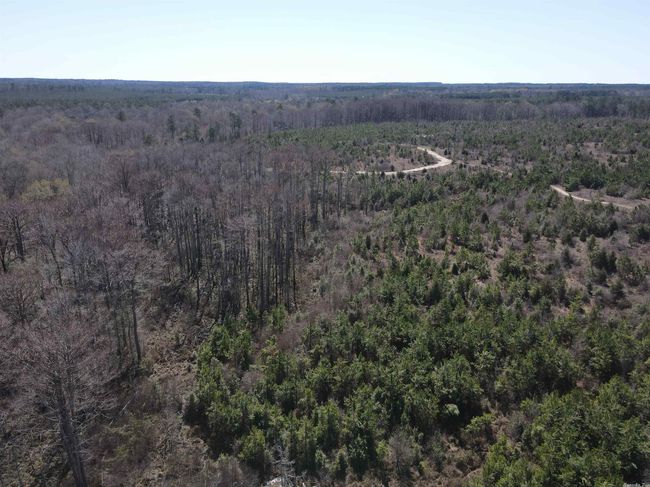 00 Highway 278 Highway, Home with 0 bedrooms, 0 bathrooms and null parking in Rosston AR | Image 13