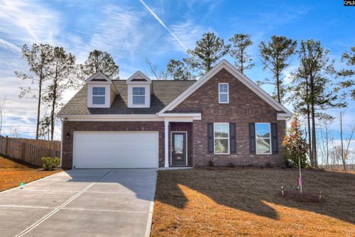 306 Chapin Place Way, Chapin, SC, 29036 | Card Image