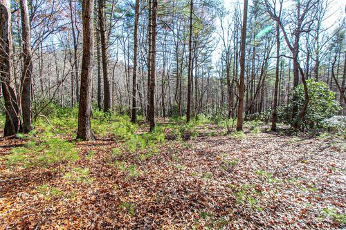 b-TBD Cherrywood Lane, Pisgah Forest, NC, 28768 | Card Image