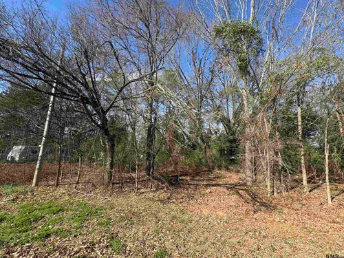 TBD Private Road 52040, Pittsburg, TX, 75686 | Card Image