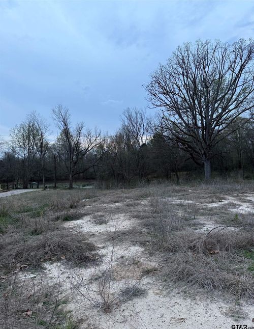 TBD HWY 80 E Southside, Mineola, TX, 75773 | Card Image