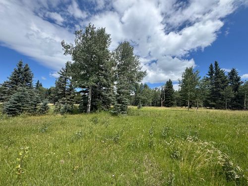 Lot 80 El Camino Real, Angel Fire, NM, 87710-8165 | Card Image