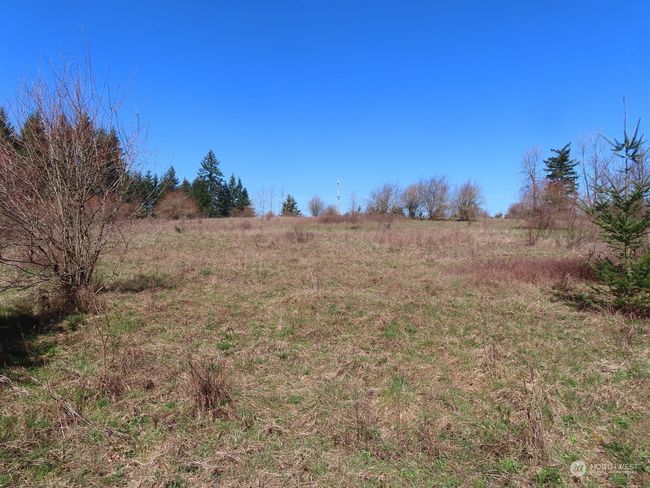 B - 107 Avery Rd W, Home with 0 bedrooms, 0 bathrooms and null parking in Napavine WA | Image 26