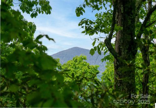 1111 Elm Tree Ln, Swannanoa, NC, 28778-0555 | Card Image