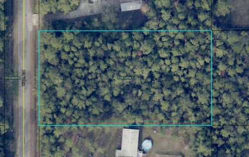 10230 Dillon Ave, HASTINGS, FL, 32145-9056 | Card Image