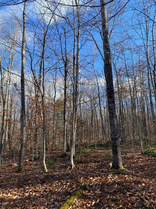 Lot 023 Pleasant Ridge Rd, Dexter, ME, 04930-2415 | Card Image