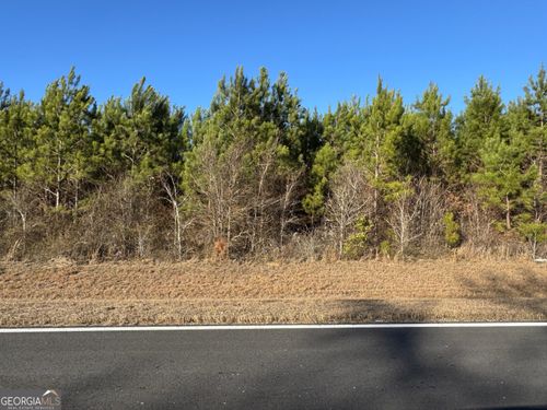 LOT 3A Whitfield Road, Elko, GA, 31025 | Card Image