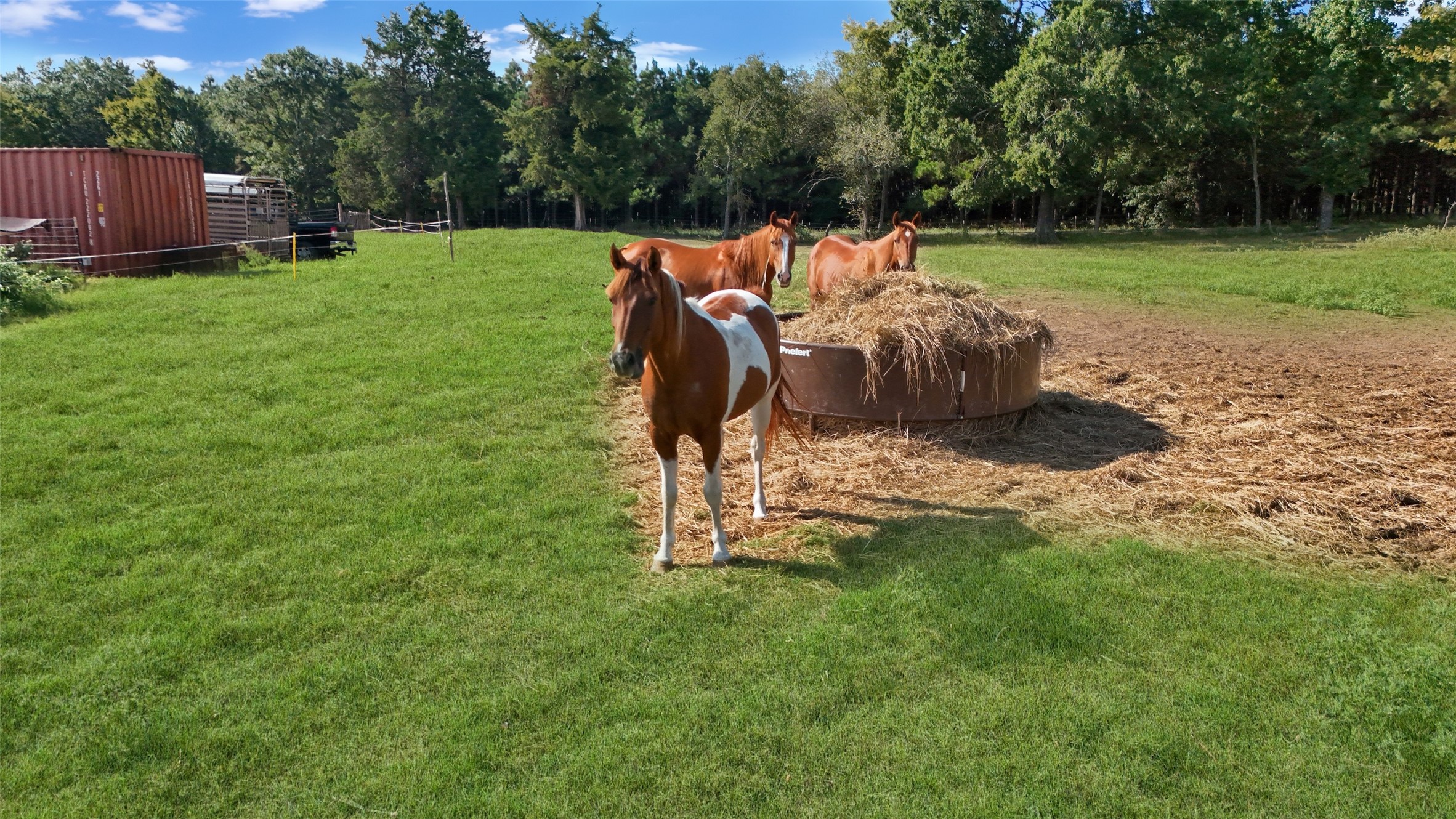Land in Mt Pleasant 5