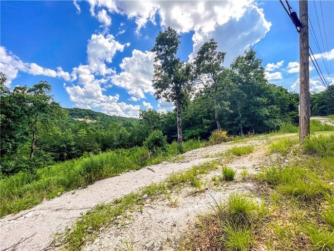 View of tree filled area | Image 21