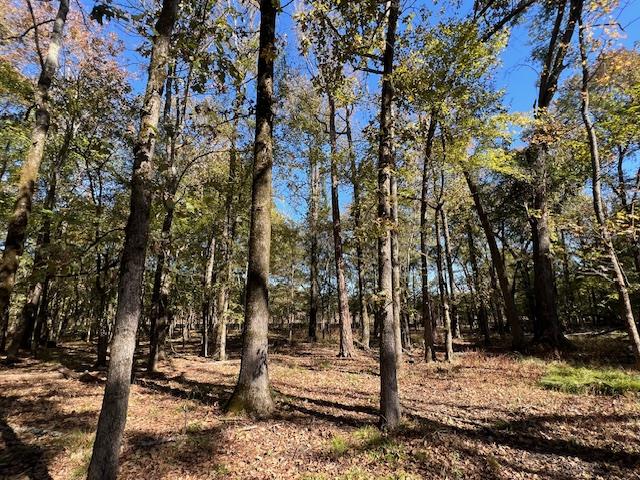 Land in Broken Bow 4