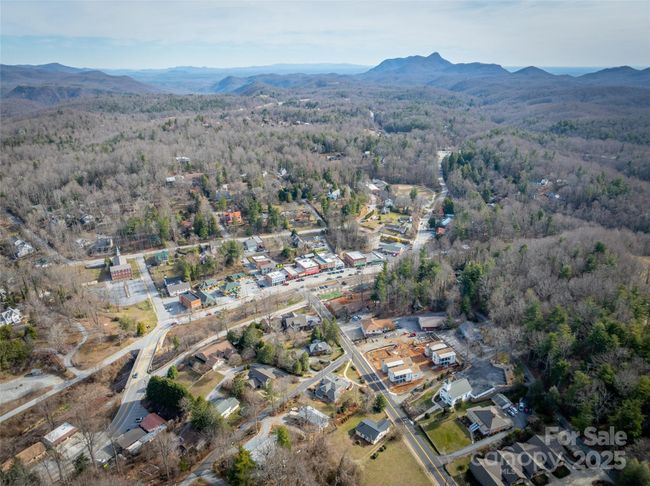 F - 43 Skyvue Ct, Townhouse with 2 bedrooms, 3 bathrooms and null parking in Saluda NC | Image 42