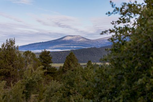 996 Abbott Mountain Way, Klamath Falls, OR, 97601-8733 | Card Image