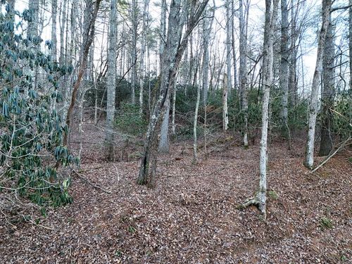 Lot 1 Papas Mountain Road, Blairsville, GA, 30512 | Card Image