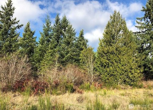 14623 Lindsay Loop Se, Yelm, WA, 98597-8202 | Card Image