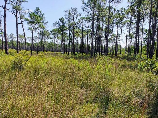 View of landscape | Image 16