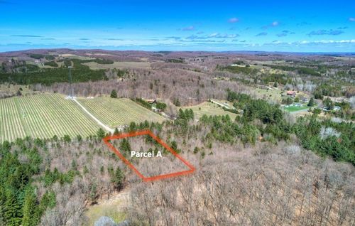 Parcel A E Bodus Road, Centerville Township, MI, 49621 | Card Image