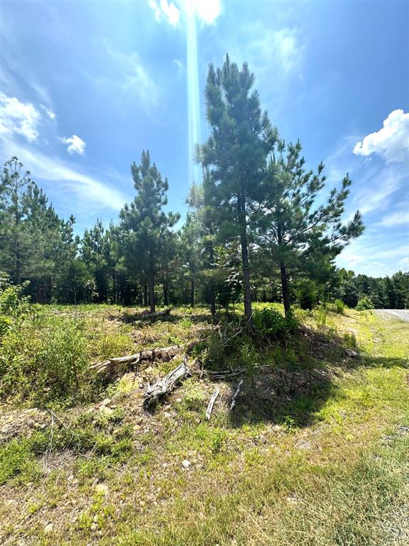 Land in Broken Bow