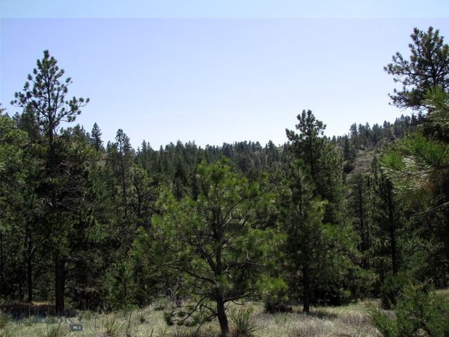 SC-28 - TBD Lone Rock Canyon Lane, Home with 0 bedrooms, 0 bathrooms and null parking in Hysham MT | Image 9