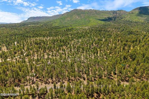 na-98 County Road 2266 --, Alpine, AZ, 85920 | Card Image