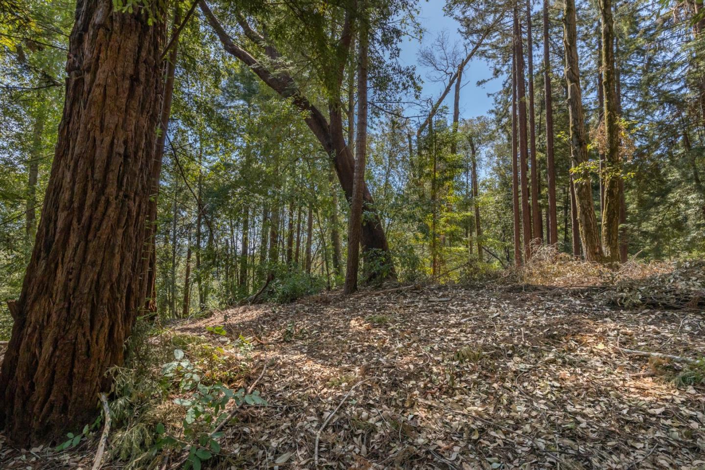 Land in Brookdale 5