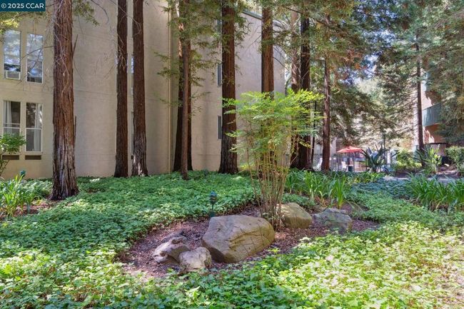 APT-109 - 155 Sharene Ln, Condo with 1 bedrooms, 1 bathrooms and 1 parking in Walnut Creek CA | Image 26