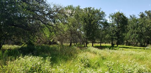 111 Flores Oaks Dr, Floresville, TX, 78114-9347 | Card Image