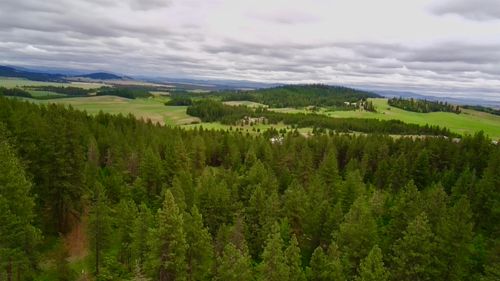 XXXX E Elder Rd, Rockford, WA, 99030 | Card Image