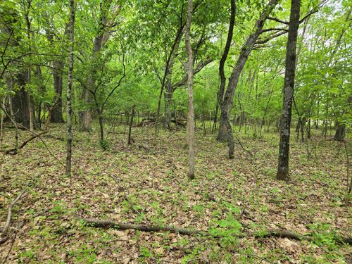 Lot Oxbow Trail, PRINCETON, WI, 54968 | Card Image