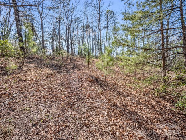 21-24-AND-25 - 000 Forester Ln, Home with 0 bedrooms, 0 bathrooms and null parking in Mill Spring NC | Image 12