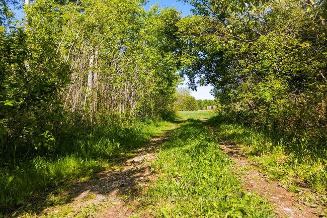 375533 - 6th Line, Home with 0 bedrooms, 0 bathrooms and null parking in Amaranth ON | Image 15