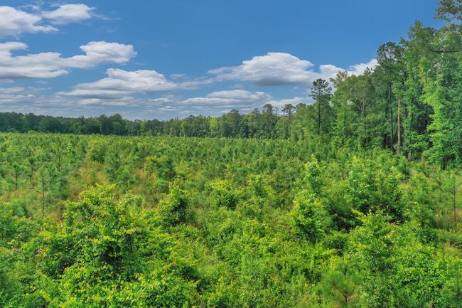 DJI_0644 | Image 10