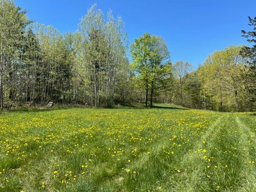 TBD Forrest Road, Bridport, VT, 05734 | Card Image