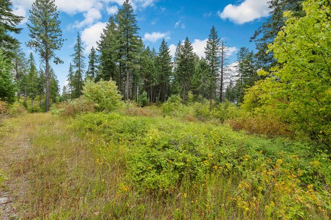 157 Pinto Trl, Home with 0 bedrooms, 0 bathrooms and null parking in Bigfork MT | Image 45