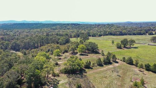 TBD Stoney Point Rd, Oden, AR, 71961 | Card Image