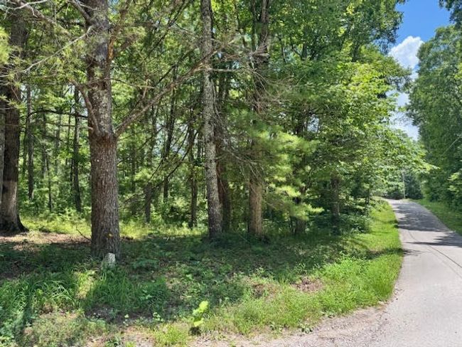 1101 Franklin Loop, House other with 3 bedrooms, 2 bathrooms and 1 parking in Clarkrange TN | Image 9