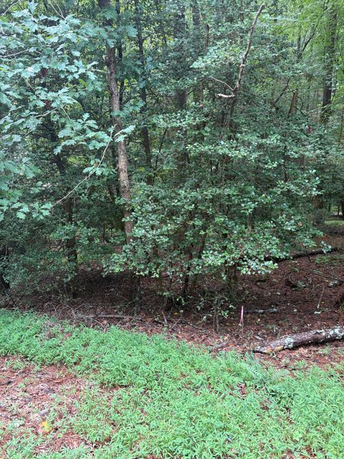 308 Creekside Trail, Ellijay, GA, 30540 | Card Image