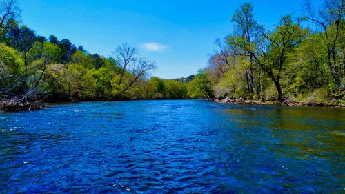 00 Toccoa River Forest, Mineral Bluff, GA, 30559 | Card Image