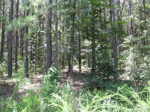 TBD Josee'S Journey, Nashoba, OK, 74558 | Card Image