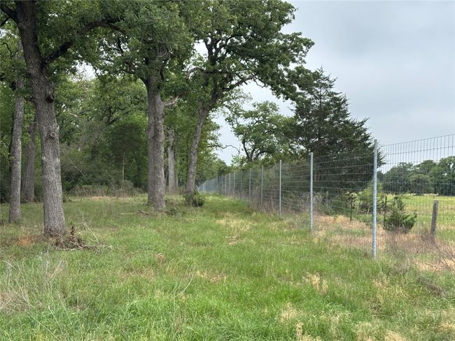 perimeter fence | Image 10