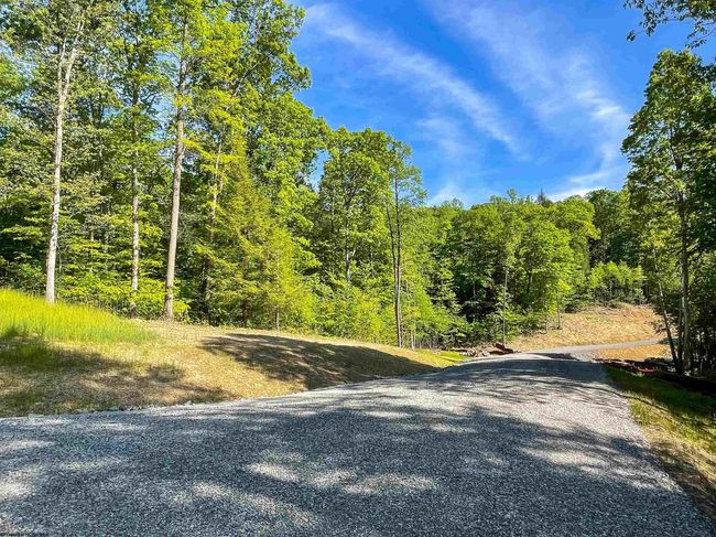 Lot 93 Laurel Loop   Whitewater Preserve Loop, Home with 0 bedrooms, 0 bathrooms and null parking in Bruceton Mills WV | Image 6