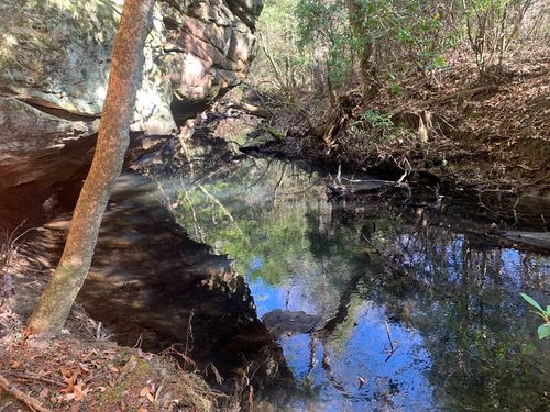 Tract 3 Lone Wolf Trl, Spencer, TN, 38585 | Card Image