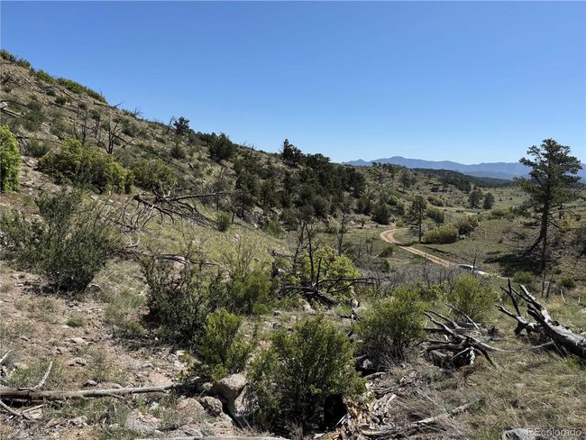 29 18 X, Home with 0 bedrooms, 0 bathrooms and null parking in Cotopaxi CO | Image 9